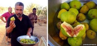 Two photos of figs tweeted by @wheelertweets