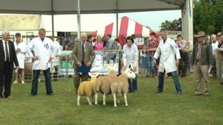 Royal Highland Show