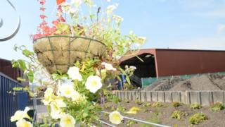 Hanging basket at recycling centre