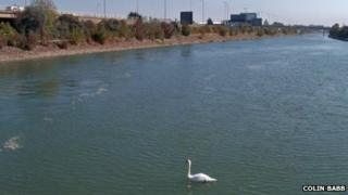 Ports Creek, Hilsea