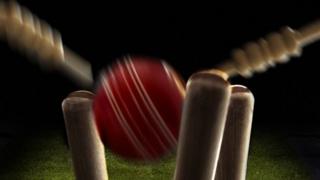 Cricket stumps