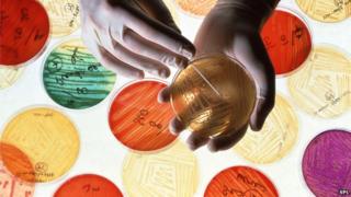 Antibiotics do not tackle illness caused by viruses or fungi
