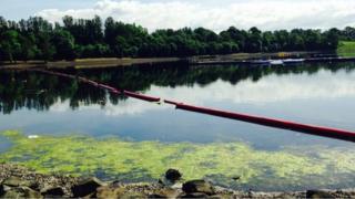 algae at Strathclyde park