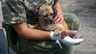 Soldier with a dog