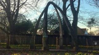 jawbone arch in edinburgh