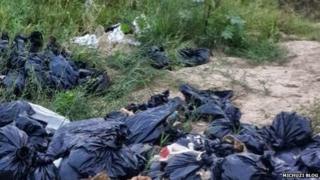 Bags containing body parts