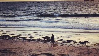 Dog and owner on the beach