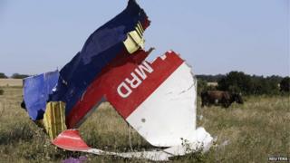 MH17 wreckage