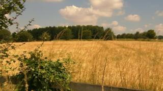 Fields near Pitt where Linden Homes wants to build 500 homes