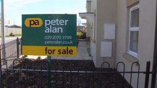 Peter Alan sign