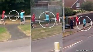 Man swinging a dog from its lead while walking in Stevenage