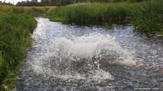 Stour Brook