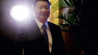 Papers support President Xi Jinping's faight against corruption in China