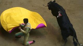 Bullfight in Medellin in January 2014