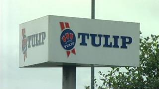Tulip Ltd sign