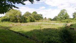 Dormant watercress beds