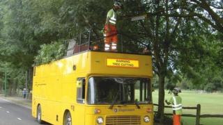 Tree bus