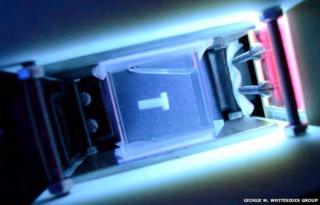 Chamber black light