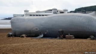 Inflatable whale on Weston beach