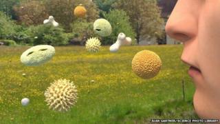 allergens