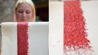 University of Bristol PhD student Silvie Kilgallon