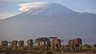 Mount Kilimanjaro in Tanzania