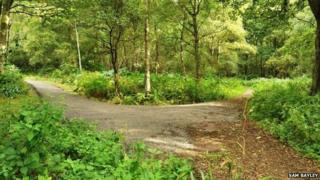 Junction of new trail with Causeway path from Mid-Holmwood Lane