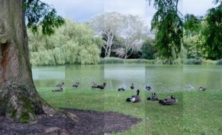 composite