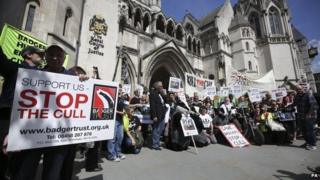 Badger Trust and cull protesters outside the Royal Courts of Justice in London