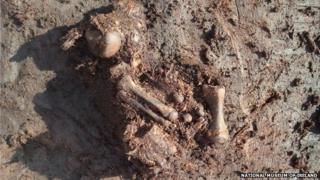 Bones in peat