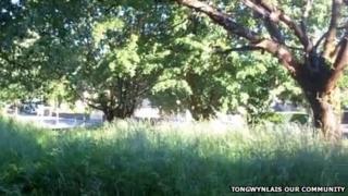 The field