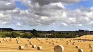 Hay bales near Darlington, County Durham