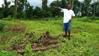Man stands by deforested area