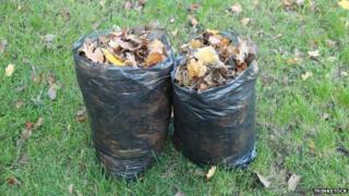 Garden rubbish