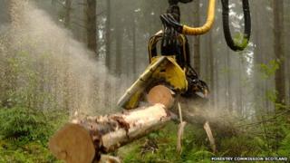 Machine sawing timber