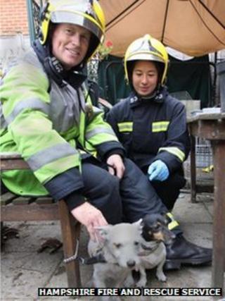 Firefighters with dogs