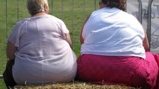 Debating the online Fat Acceptance Movement