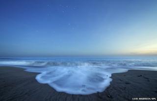 Southern Ocean