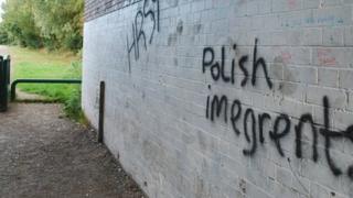Anti-Polish graffiti on the wall