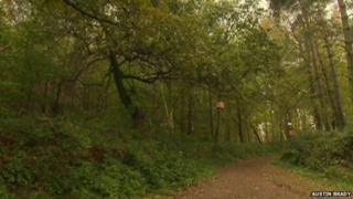 Hopwas Wood