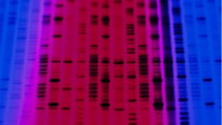 DNA sequence