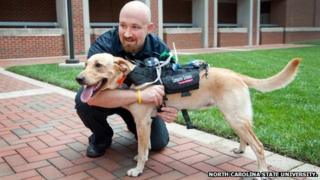 Prototype wearable tech for dogs