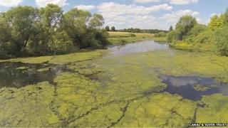 'Algal buster' at Wilton Water, near Marlborough