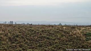 Slepe Heath