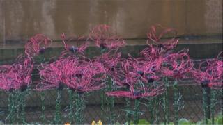 Wire poppies at Barnsley war memorial
