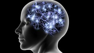brain