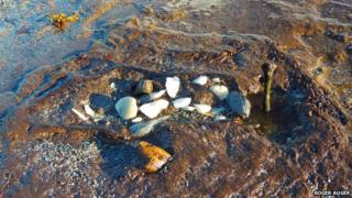 Remains of prehistoric remains found on North Uist beach