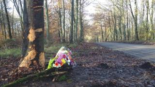 Grand Avenue, Savernake Forest, Wiltshire