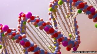 DNA