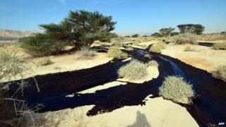 Oil spill in Israel. Photo: 4 December 2014